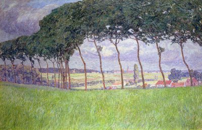 Landscape by Modest Huys